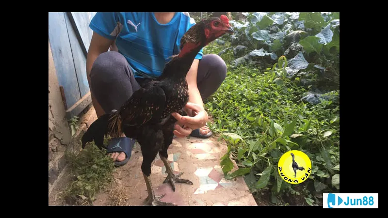 Sức bền và ổn định Sức bền và ổn định