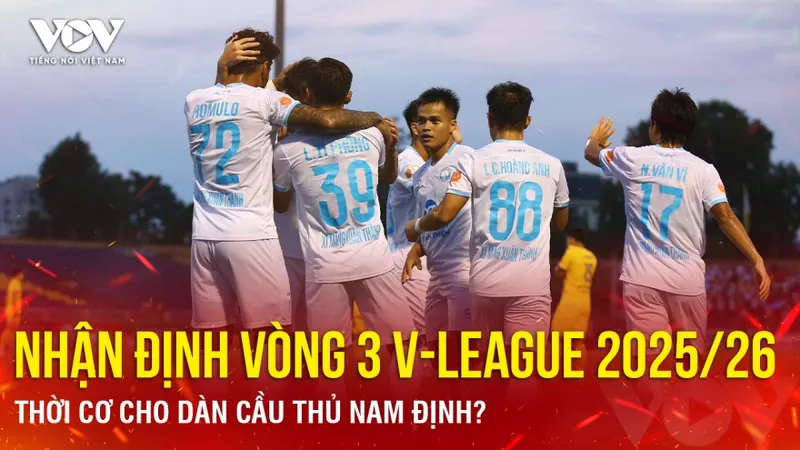 V-League, Tổng quan về giải đấu