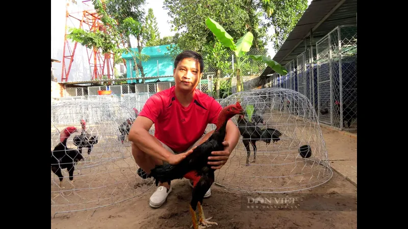 Được trình bày các sản phẩm mới của